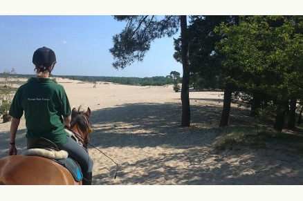 Buitenritten door de Loonse en Drunense Duinen i.s.m. Natuurpoort Van Loon VMP012